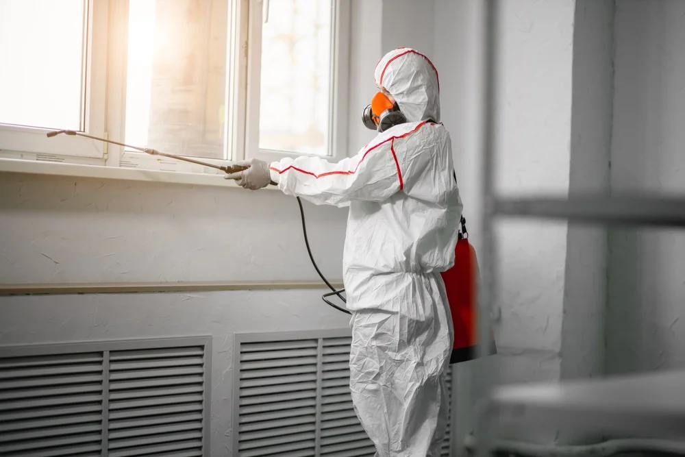Professional mold remediation services in Amherst, NH